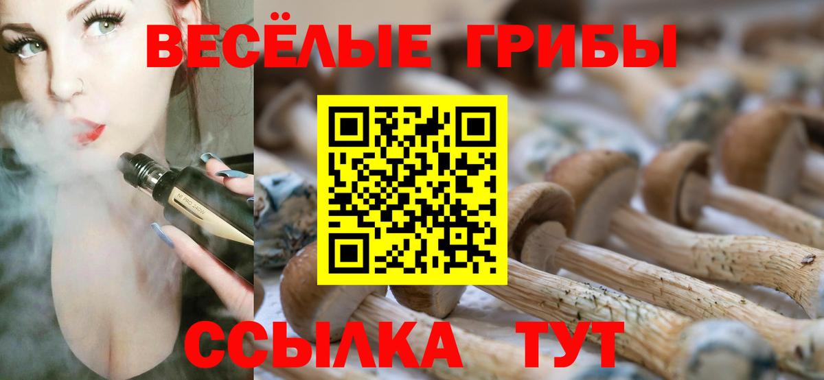 Псилоцибиновые грибы Psilocybine cubensis  Вход с VPN  Красноуфимск  где купить наркоту  Галлюциногенные грибы ЛСД 